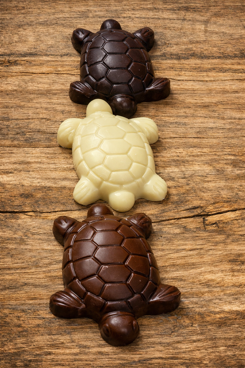 Belgian Chocolate Turtles Gift Box (Pack of 3)